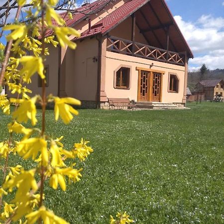 Затишок в Карпатах Villa Яремче Екстериор снимка