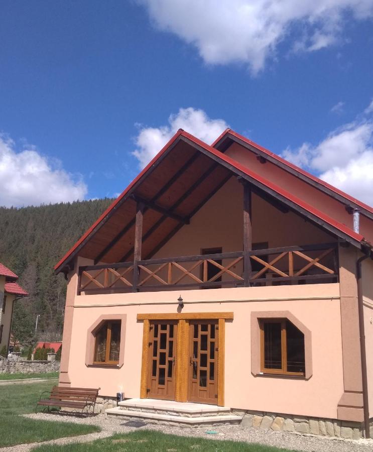 Затишок в Карпатах Villa Яремче Екстериор снимка